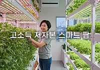 초보를 위한 고소득 저자본 스마트 팜 초보를 위한 고소득 저자본 스마트 팜