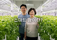 소자본 스마트 팜, 은퇴 생활의 새로운 도전 소자본 스마트 팜, 은퇴 생활의 새로운 도전