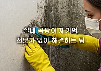 실내 곰팡이 제거법, 전문가 없이 해결하는 팁 실내 곰팡이 제거법, 전문가 없이 해결하는 팁
