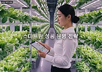 스마트팜 성공 운영 전략, 수경재배로 농업 생산성 극대화하는 방법