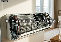 에어컨 냄새 제거를 위한 식초 구연산 활용법과 송풍 운전 가이드 에어컨 냄새 제거를 위한 식초 구연산 활용법과 송풍 운전 가이드