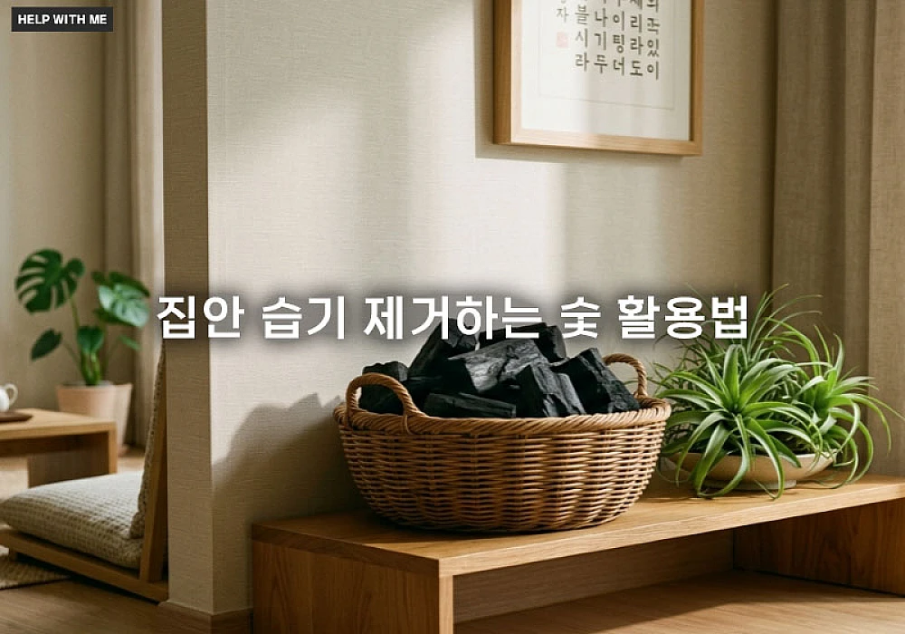 집안 습기 제거하는 숯 활용법 3가지와 천연 제습기 보관 관리 요령