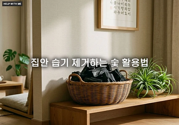 집안 습기 제거하는 숯 활용법 3가지와 천연 제습기 보관 관리 요령